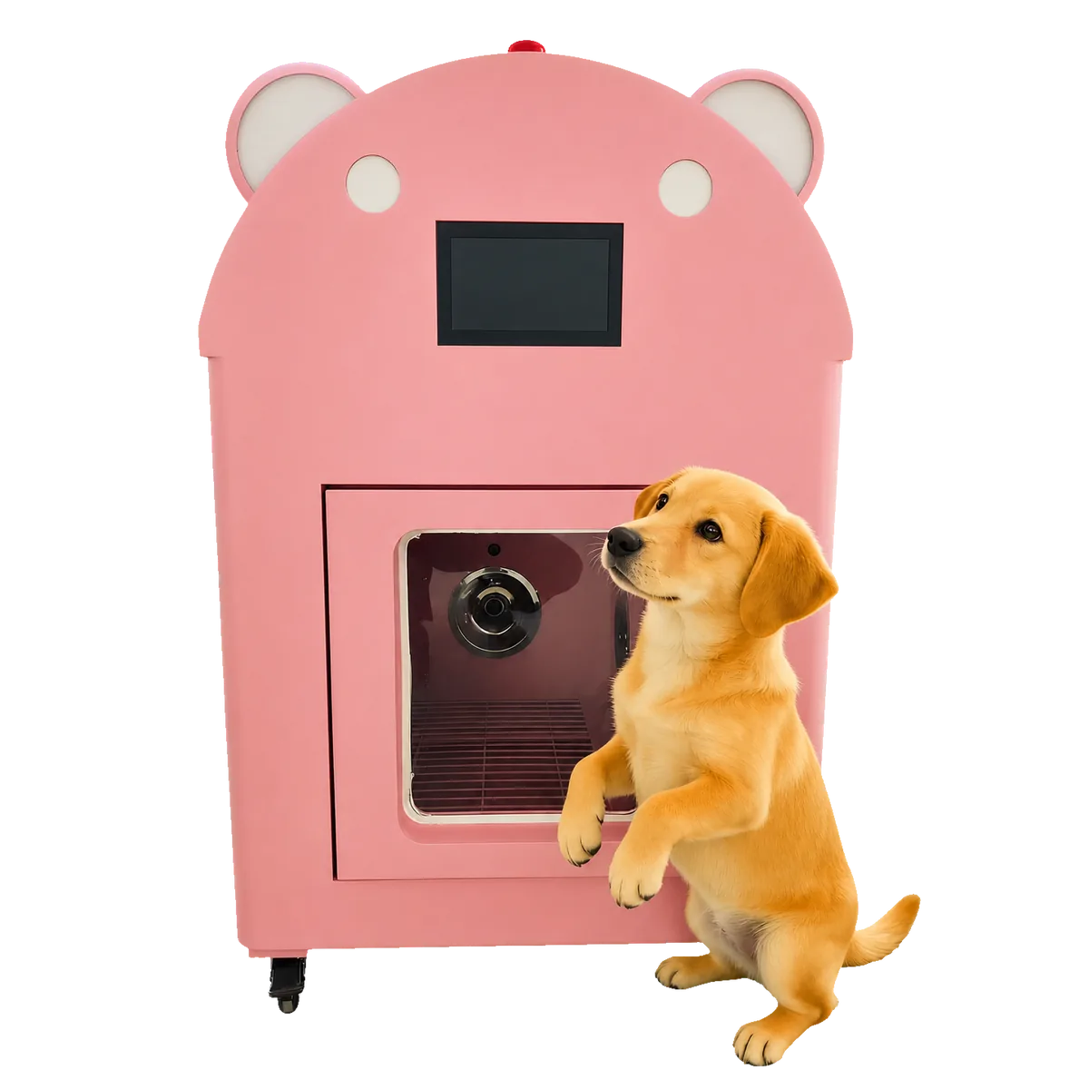 PetWash Mini cat and small dog washing machine